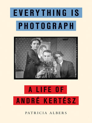 cover image of Everything Is Photograph